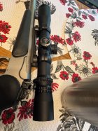 IMG_9498.jpeg