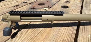 IMG_4239.jpeg