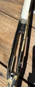 IMG_4246.jpeg