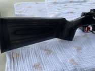 IMG_5420.jpeg