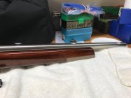 IMG_0704.jpeg