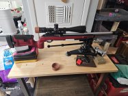 AR250.jpg