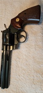 20250528_122113colt4.jpg