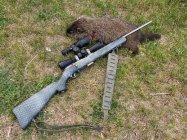 Groundhog 6-15.jpg