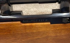 IMG_2135.jpeg