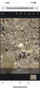 IMG_4297.png