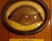 1981 partridge tail.jpg 1981 partridge tail.jpg