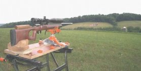 243closeuplongshot07.JPG