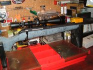 Rifle Pictures, RAP 003.JPG