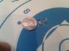 170704_081633_1_zpso2yznnm7.jpeg