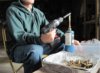 Annealing 3.JPG