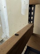 IMG_1180.jpeg