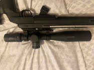 IMG_5545.jpeg