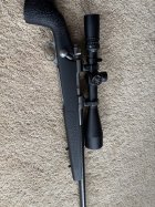 IMG_7422.jpeg