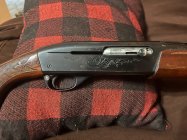 IMG_6646.jpeg