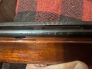IMG_6648.jpeg