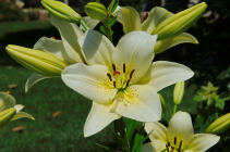 _DSC3082LR.png