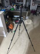 IMG_3242.jpeg