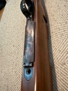 IMG_1021.jpeg