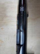 IMG_5421.jpeg