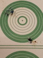 flyshoot.jpg