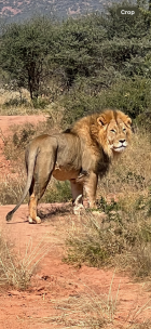 IMG_20250603_141152.png