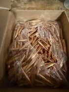 IMG_0810.jpeg