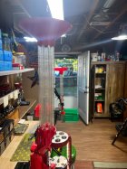 IMG_0146.jpeg