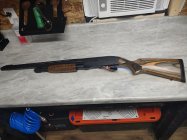 IMG_20250624_181612259.jpg