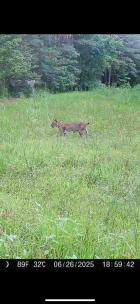 IMG_8733.png