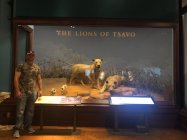 IMG_0806.jpeg