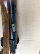 IMG_1902.jpeg