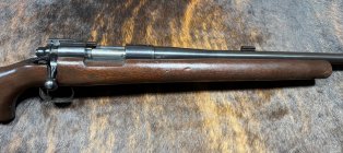IMG_1728.jpeg