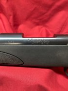 IMG_3274.jpeg