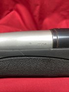 IMG_3275.jpeg