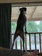 IMG_1872.jpeg
