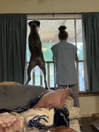 IMG_1871.jpeg