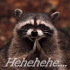 1751476027540.gif
