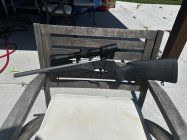 IMG_7672.jpeg