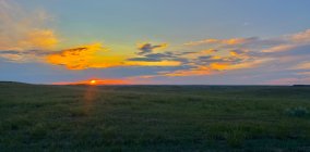 IMG_1562.jpeg