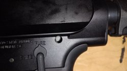 IMG_20250629_140708565.jpg