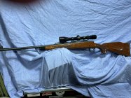 IMG_5199.jpeg
