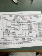 IMG_2849.jpeg