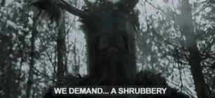1751912036473.gif