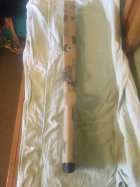 IMG_4234.jpeg