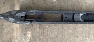 IMG_6985.jpeg