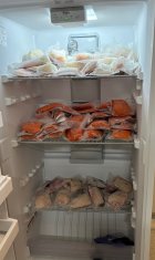 IMG_1970.jpeg