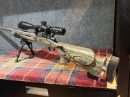 IMG_3243.jpeg IMG_3243.jpeg