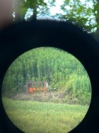 IMG_2533.jpeg