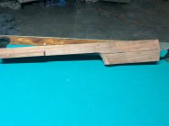 IMG_4499.jpeg